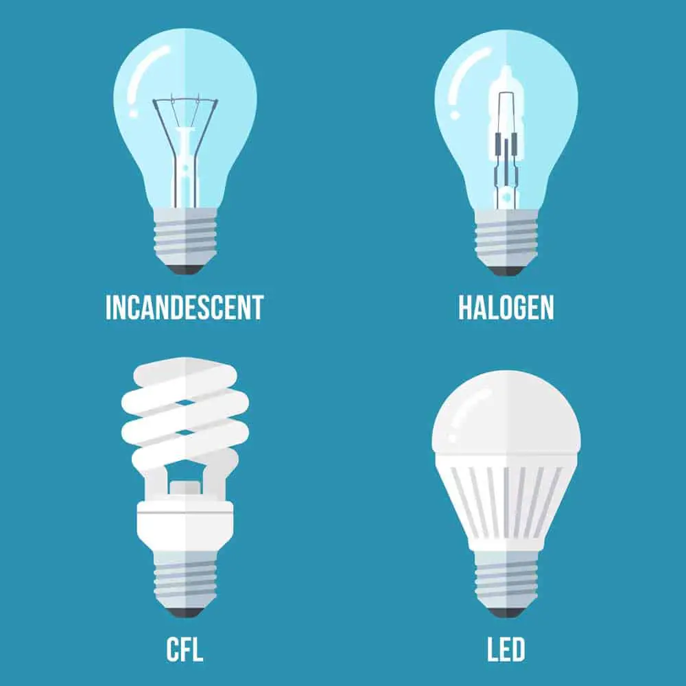 The different bulb types