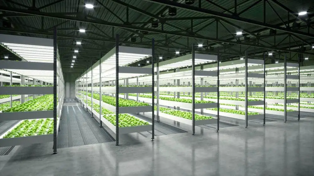 Indoor Farming with Growth Light