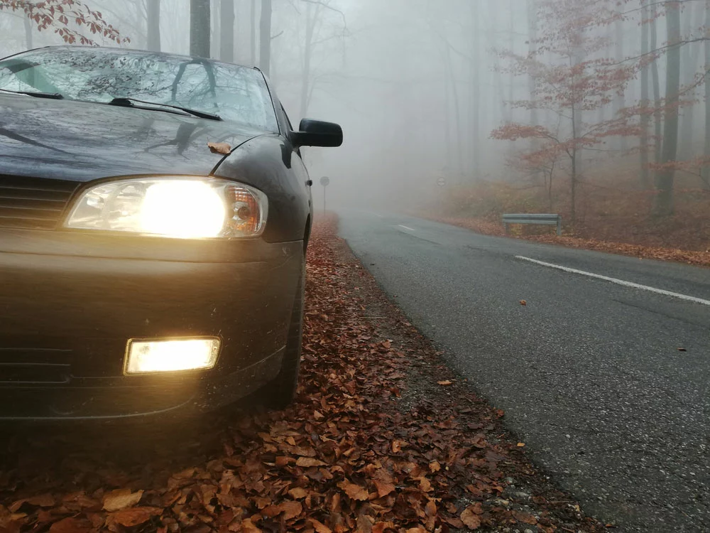 Headlight and fog light