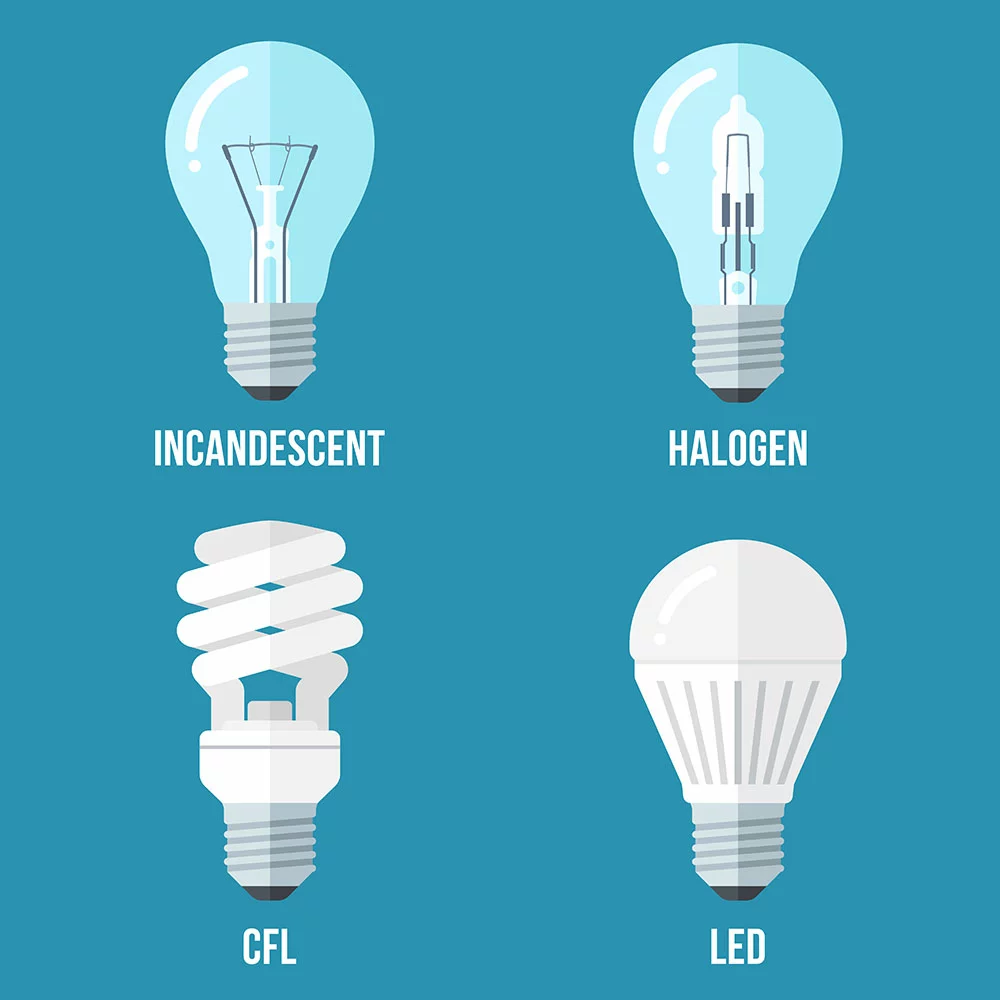 Vector illustration of the incandescent light bulb, halogen lamp, CFL and led lamp