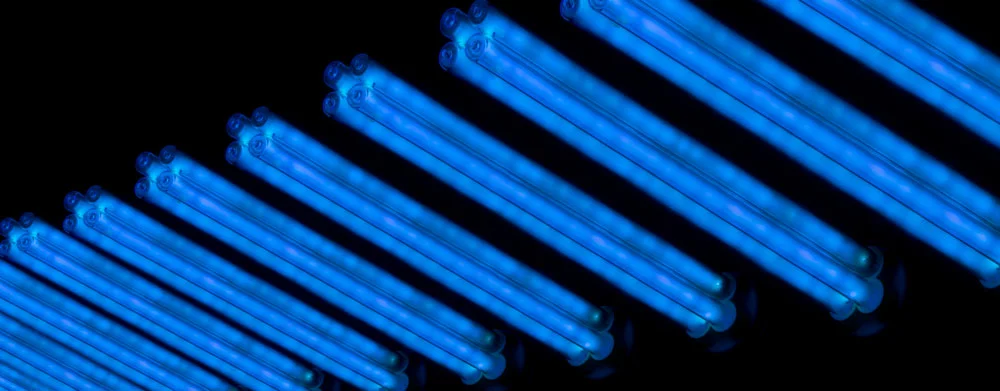 Black Light vs. UV Light:  UV fluorescence tubes