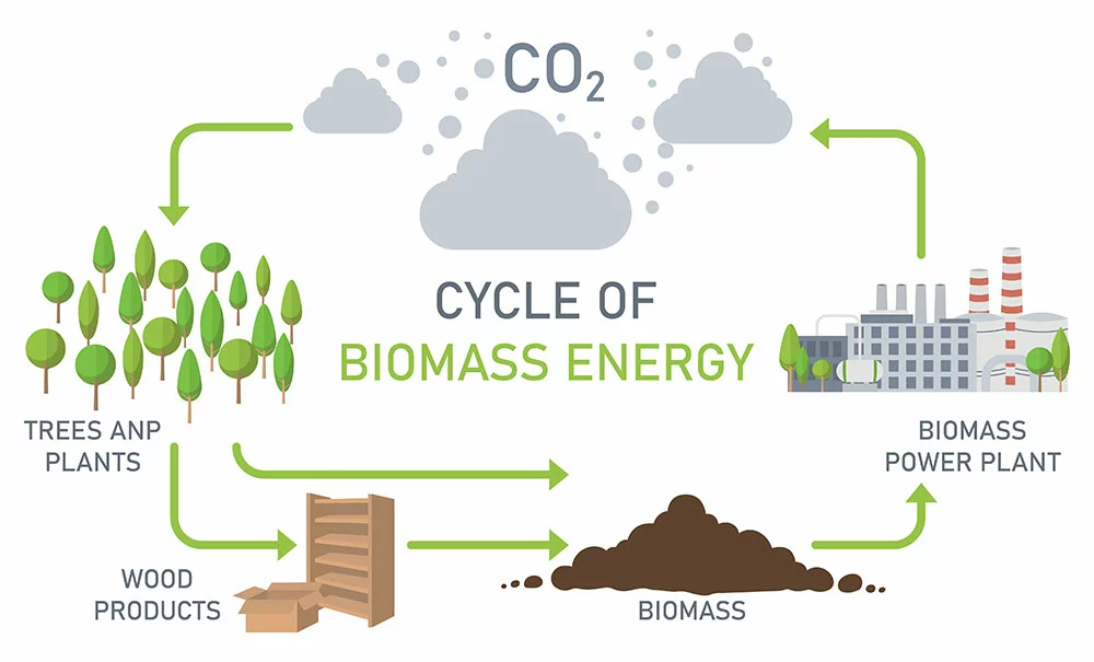 A Biomass Energy Cycle