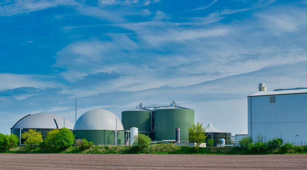 Biomass Energy Advantages and Disadvantages-  It's expensive to set up a biogas plant