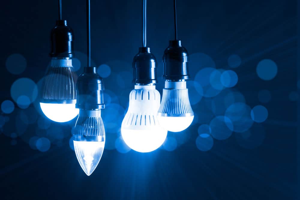 LED bulbs