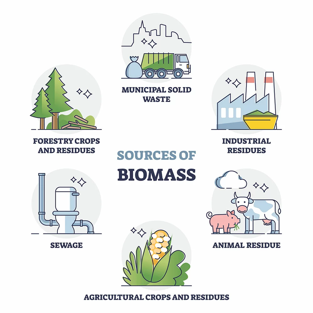 Biomass Sources