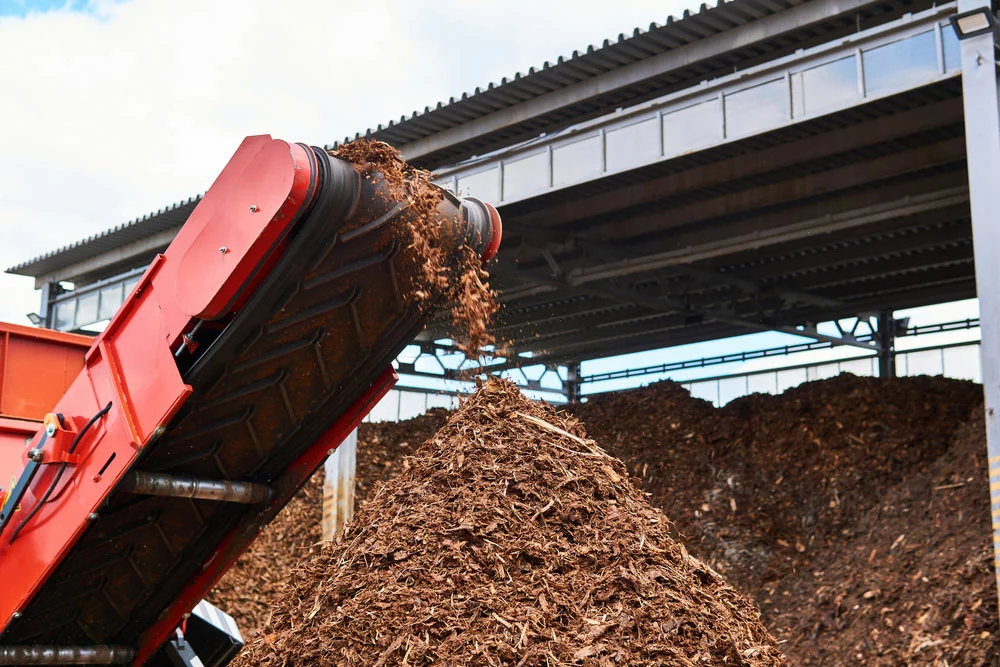 Wood waste makes good biomass source
