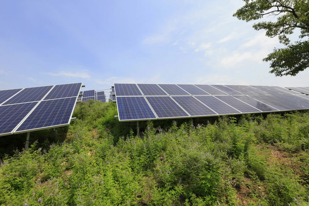 Hawaii Solar Tax Credits: A Solar Panels Plant