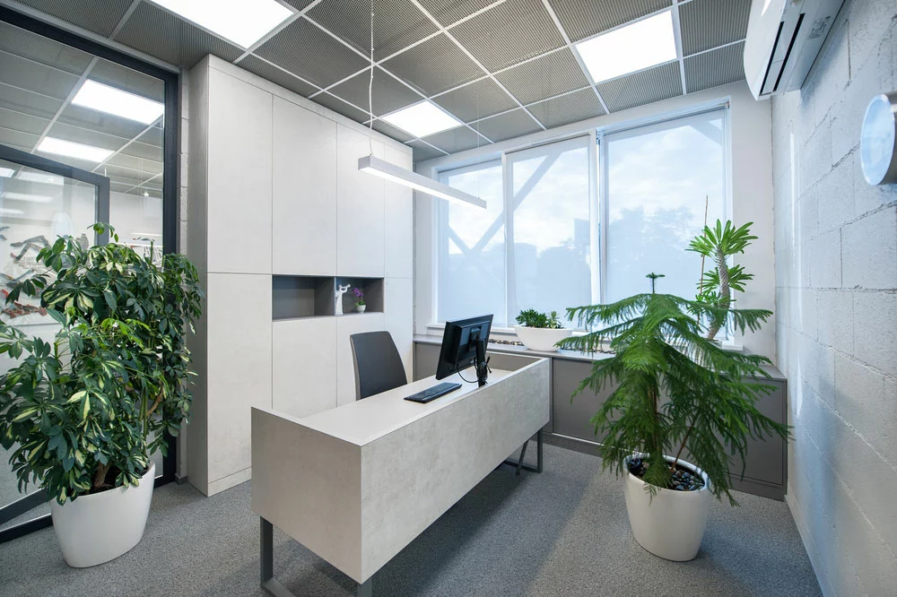 An office with panel lights in the ceiling