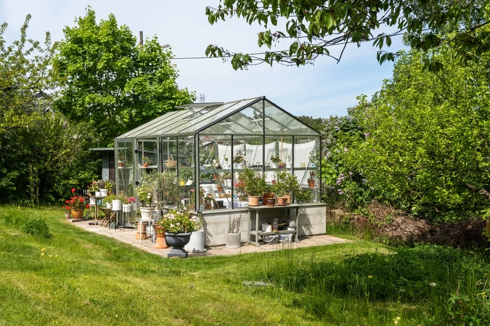 A Greenhouse under natural light