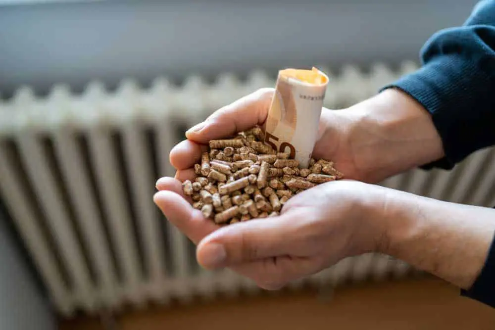 Natural wood pellet in hands with euro banknotes.