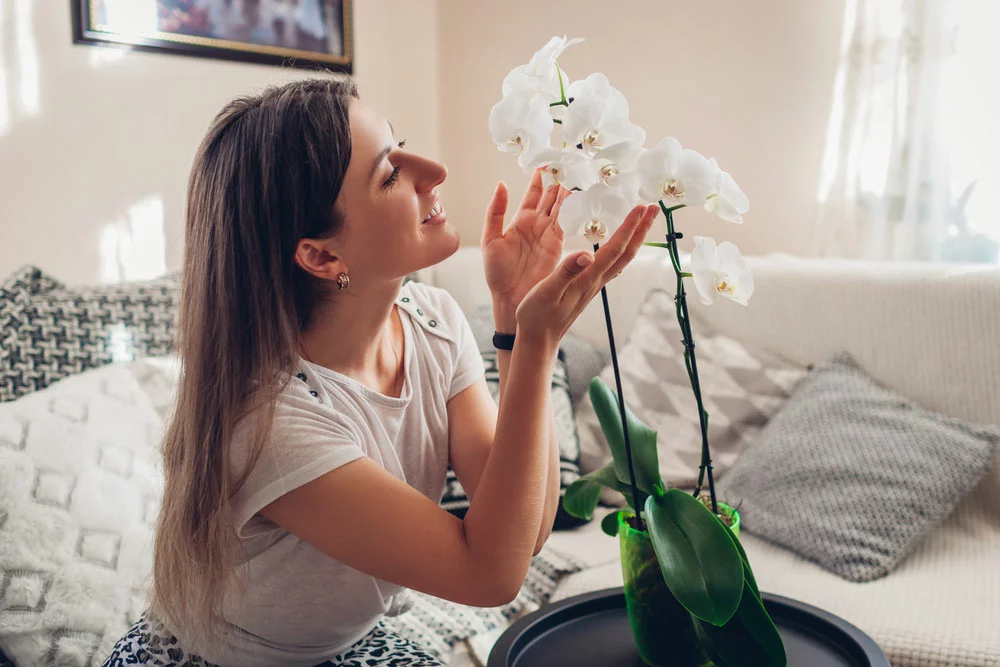 Woman smelling orchid in a pot. 