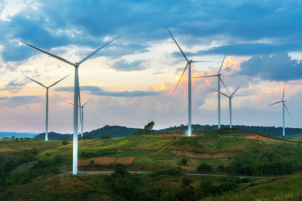 A wind farm.