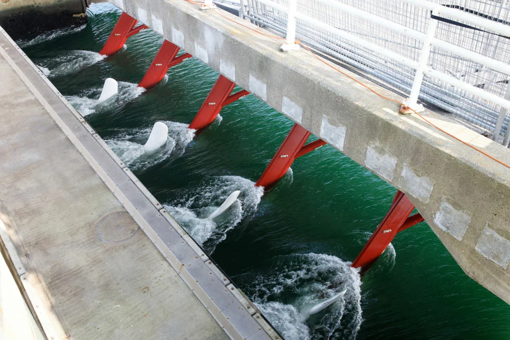 Tidal current provides green electricity.